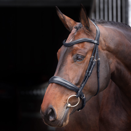 Bridon à caveçon matelassé Elite Shires Velociti Lusso