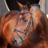 Bridon à muserolle française rehaussée matelassée Elite Shires Velociti Lusso - Havane