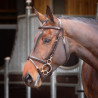 Bridon d'entraînement Shires Velociti Rapida - Havane
