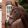 Bridon de dressage à caveçon Opus 180M Shires Velociti Lusso - Havane