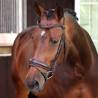Bridon de dressage à muserolle française Elite Shires Velociti Lusso - Havane