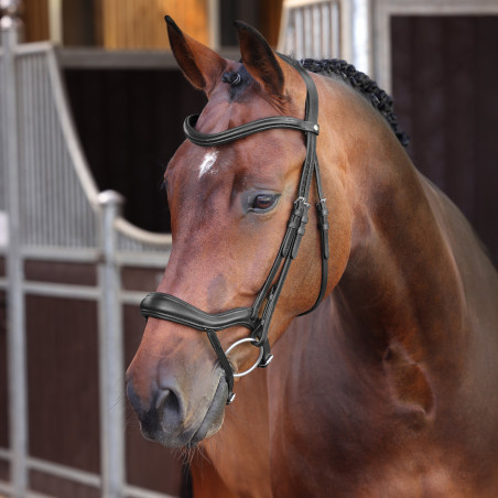 Bridon ergonomique à muserolle française Elite Shires Velociti Lusso