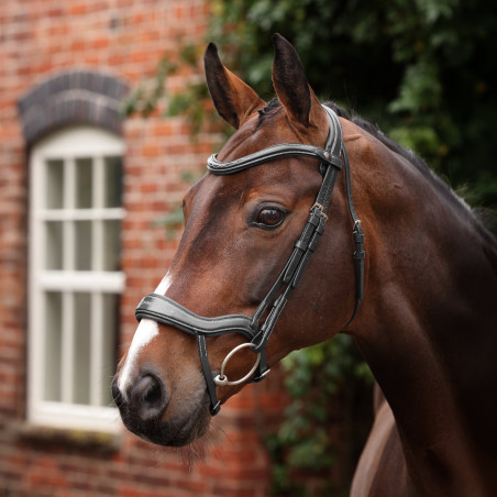 Bridon ergonomique à muserolle française Opus 180M Shires Velociti Lusso