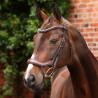 Bridon ergonomique à muserolle française Opus 180M Shires Velociti Lusso - Havane
