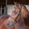 Bridon Hunter Elite Shires Velociti Lusso - Noir