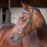Bridon Hunter Elite Shires Velociti Lusso - Havane