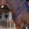 Collier de chasse Elite Shires Velociti Lusso - Havane