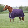 Couverture d'extérieur Original 100 Shires Highlander - Prune