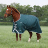 Couverture d'extérieur Original 300 Shires Highlander - Vert