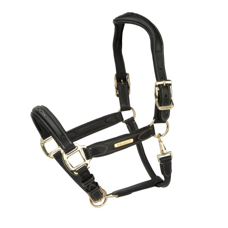 Licol en cuir Comfort Shires Velociti Rapida