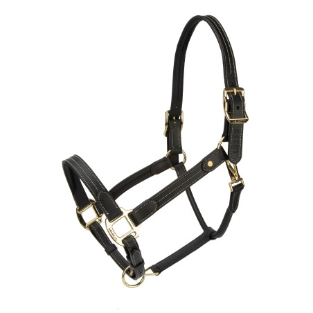 Licol en cuir Girona Shires Velociti Lusso