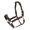 Licol en cuir Lorca Shires Velociti Lusso - Havane
