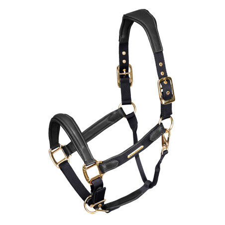 Licol en cuir matelassé Shires Velociti Lusso