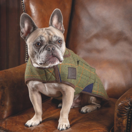 Manteau pour chien en tweed Shires Digby & Fox