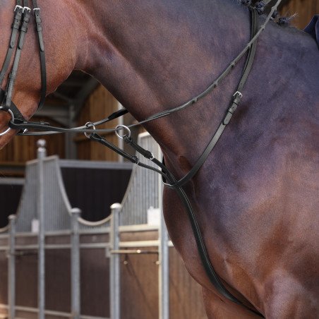Martingale à anneaux Elite Shires Velociti Lusso