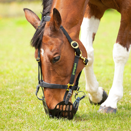 Panier de pâturage Shires Greenguard