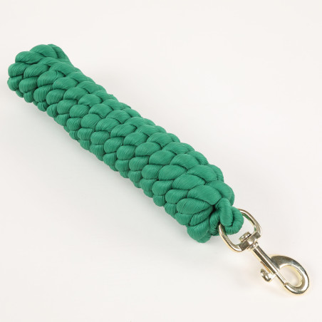 Longe extra-longue Shires Arma