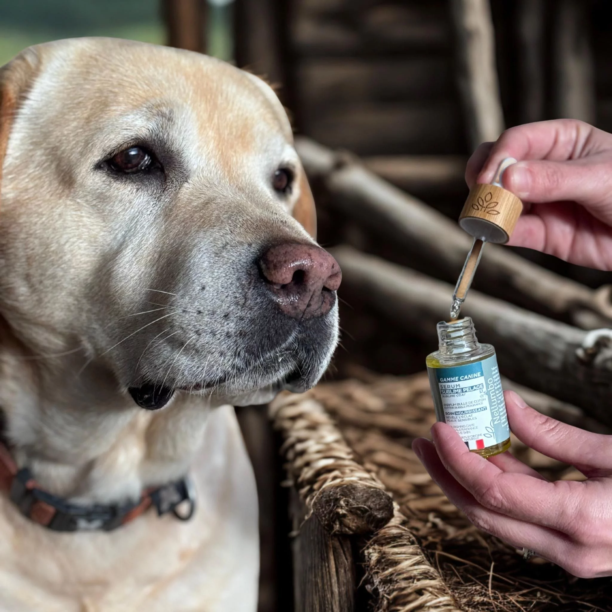 Sérum Sublime Pelage Bulle de Coton Nellumbo chiens et chats