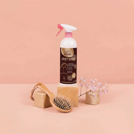 Easy Shine Ravene Démêlant Lustrant Édition Limitée 20 ans