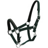 Licol Norton Crystal - Vert foncé
