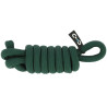 Longe d'attache Eco Riding World - Vert foncé