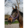 Licol Norton Dream - Lilas