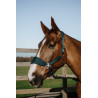 Licol Equithème Breeze - Vert foncé