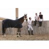 Chemise Equi-Theme Cool Dry Marine Chemise Equi-Theme Cool Dry Marine