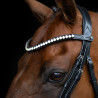 Frontal Imperial Riding Maxima - Graphite