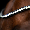 Frontal Imperial Riding Maxima - Graphite