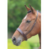Caveçon Hunter Shires Velociti Gara - Marron