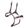 Caveçon rond doublé polaire Shires Velociti Rapida - Marron