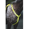 Collier de chasse Shires Equi-Flector® - Jaune vif