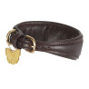 Collier matelassé pour lévrier Shires Digby & Fox - Marron