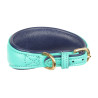 Collier matelassé pour lévrier Shires Digby & Fox - Sarcelle