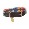 Collier pour chien Drover Polo Shires Digby & Fox - Turquoise / rouge / orange / bleu