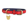 Collier pour chien en cuir matelassé Shires Digby & Fox - Écarlate