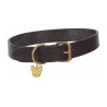 Collier pour chien en cuir plat Shires Digby & Fox - Marron