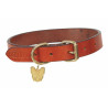 Collier pour chien en cuir plat Shires Digby & Fox - Fauve