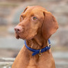 Collier pour chien en cuir rond Shires Digby & Fox - Royal