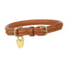Collier pour chien en cuir rond Shires Digby & Fox - Fauve