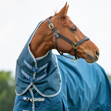 Couvre-cou Original 50 Shires Highlander