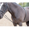 Enrênement de longe souple Shires - Noir