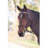 Frontal polo en cuir Shires Velociti Gara - Violet / vert foncé / jaune