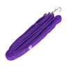 Laisse en sangle matelassée Shires Digby & Fox - Violet