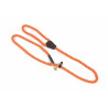 Laisse lasso pour chien en corde Shires Digby & Fox - Orange