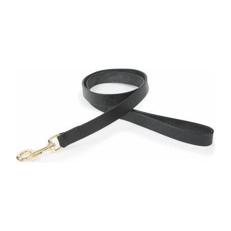 Laisse pour chien en cuir plat Shires Digby & Fox