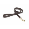 Laisse pour chien en cuir plat Shires Digby & Fox - Marron