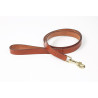 Laisse pour chien en cuir plat Shires Digby & Fox - Fauve