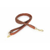 Laisse pour chien tressée Shires Digby & Fox - Marron